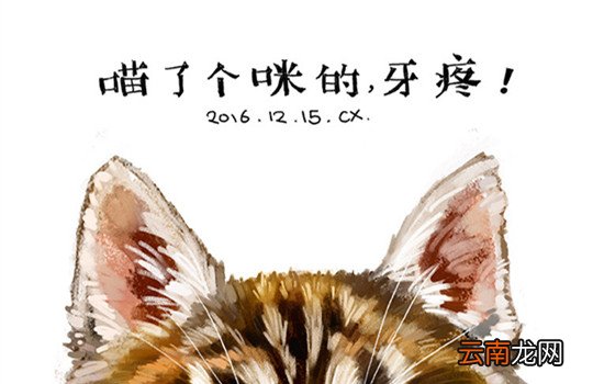 牙疼怎么办 立刻止牙疼的方法