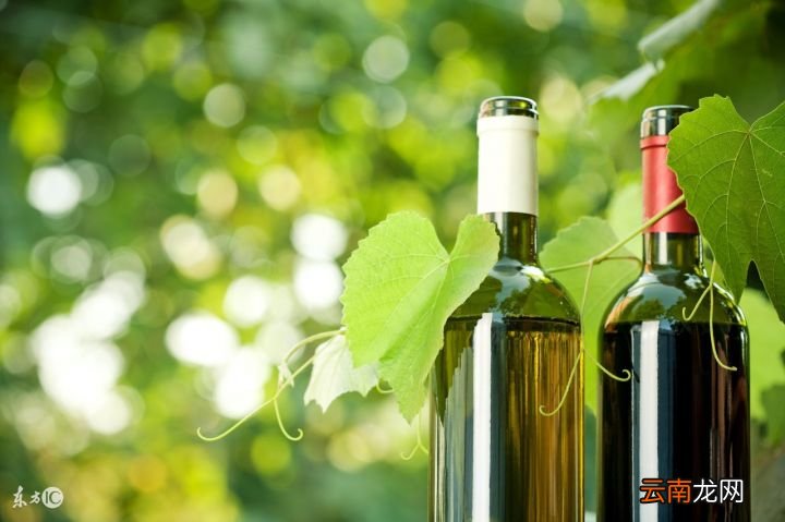 吃甘蔗可以补血吗 甘蔗可以补血是假的