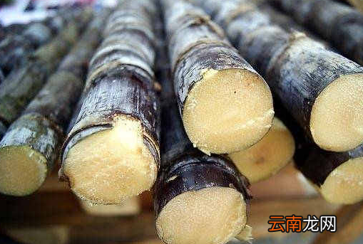 吃甘蔗中毒怎么办 红心甘蔗吃了怎么解毒