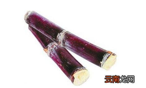 吃甘蔗中毒怎么办 红心甘蔗吃了怎么解毒