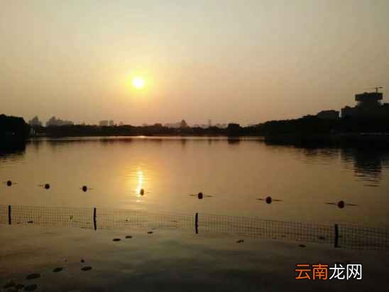 夏天如何预防中暑 又该如何处理呢