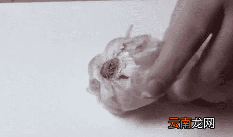 剥大蒜后手指疼怎么办 怎么剥大蒜避免手痛