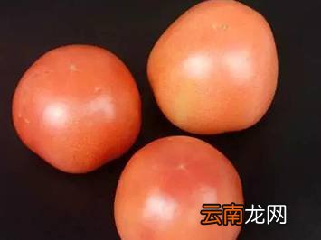15个实用的食物保鲜方法 还不赶快收藏