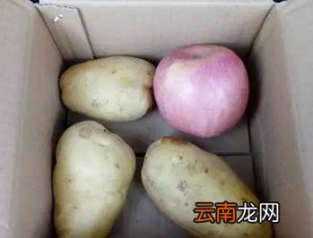 15个实用的食物保鲜方法 还不赶快收藏