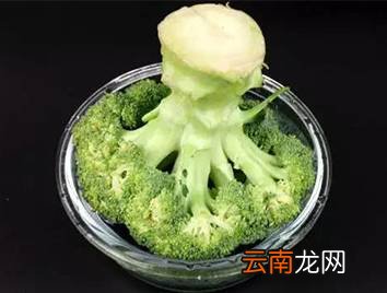 15个实用的食物保鲜方法 还不赶快收藏