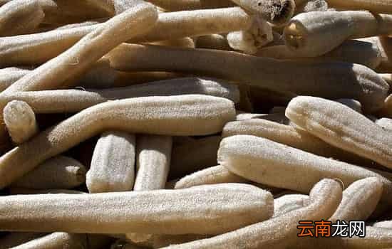 丝瓜络能治痔疮吗 丝瓜络怎么用来治痔疮