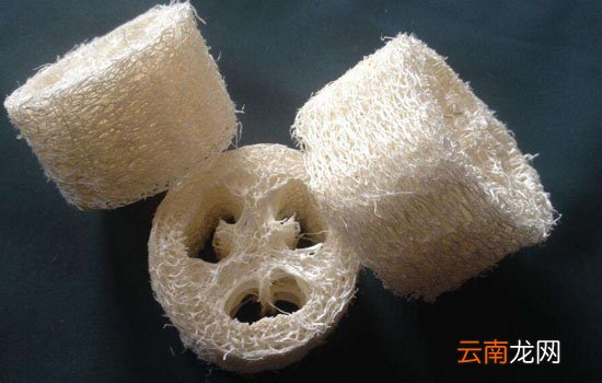 丝瓜络能治痔疮吗 丝瓜络怎么用来治痔疮