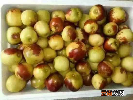 吃冬枣有什么好处吗 它是天然维C大补丸