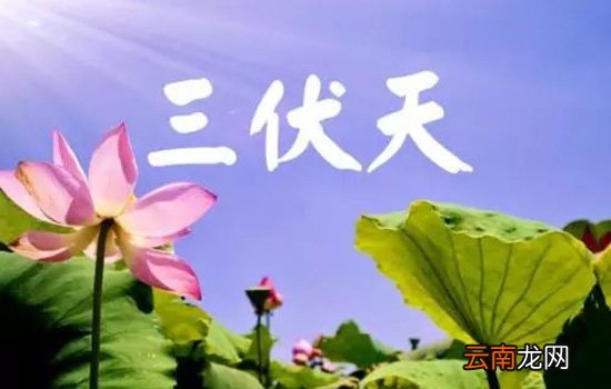 三伏天哪一伏最热 末伏并不是最热的