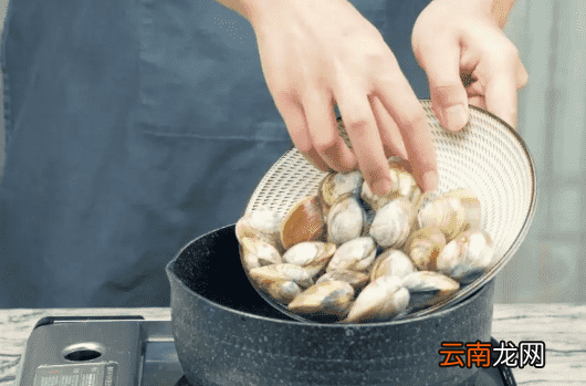 蛤蜊蒸蛋的做法 鲜嫩的蛤蜊蒸蛋不可错过