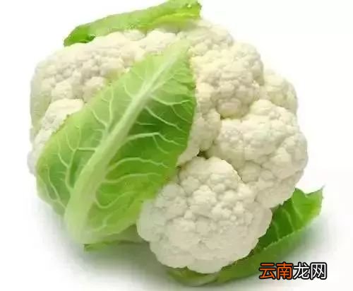 菜是先洗还是先切 顺序真的很重要