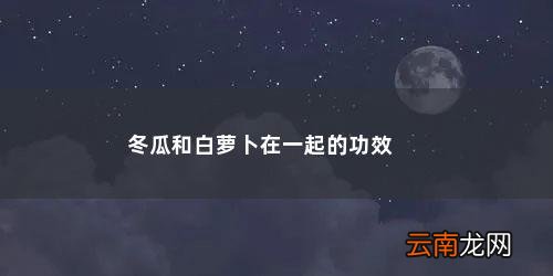 冬瓜炖白萝卜功效作用 冬瓜和白萝卜在一起的功效