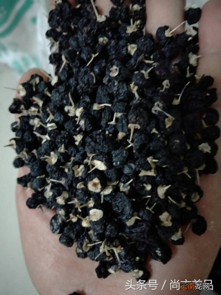 吃黑枸杞上火吗 喝黑枸杞上火吗