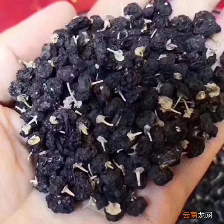 三招教你学会红枣黑枸杞酒 黑枸杞泡酒的最佳搭配