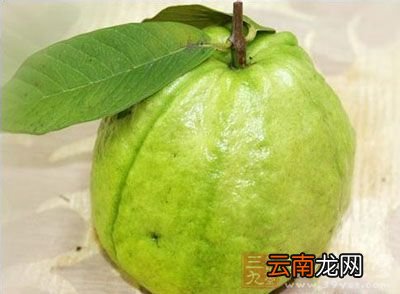 芭乐有哪些价值 吃芭乐有什么好处和坏处