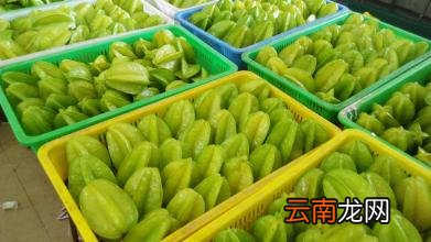 杨桃有很高的药用价值 杨桃的功效与作用禁忌