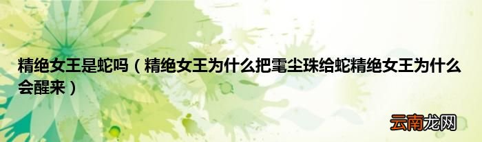 精绝女王为什么把雮尘珠给蛇精绝女王为什么会醒来 精绝女王是蛇吗