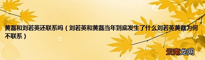 刘若英和黄磊当年到底发生了什么刘若英黄磊为何不联系 黄磊和刘若英还联系吗