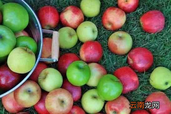 水果煮熟吃有什么好处 这些水果煮熟比生吃有营养