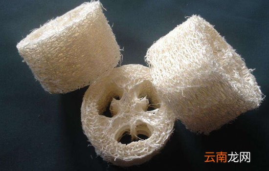 丝瓜络能治痛风吗 丝瓜络只能辅助治痛风