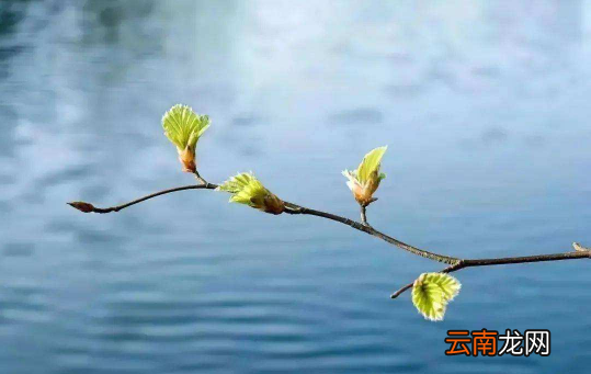 躲春是坐着还是站着-躲春是坐着还是躺着