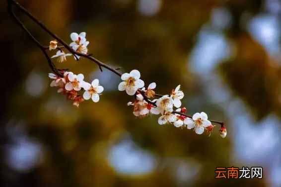 躲春是坐着还是站着-躲春是坐着还是躺着