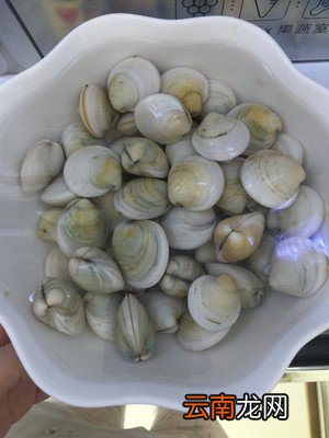 花甲粉丝的做法 花甲和粉丝的完美结合