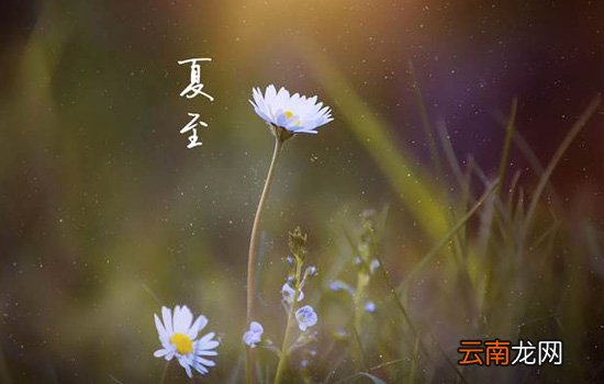 夏至是入伏吗 夏至还不是最热的时候