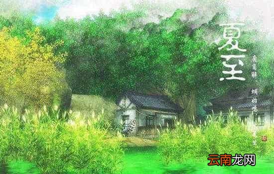 夏至是入伏吗 夏至还不是最热的时候