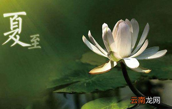夏至是入伏吗 夏至还不是最热的时候