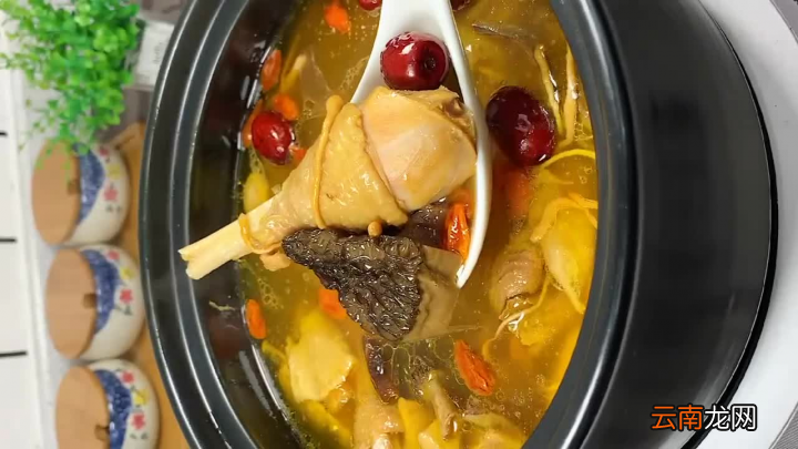 鸡汤怎么炖才好喝 母鸡汤怎么炖最有营养