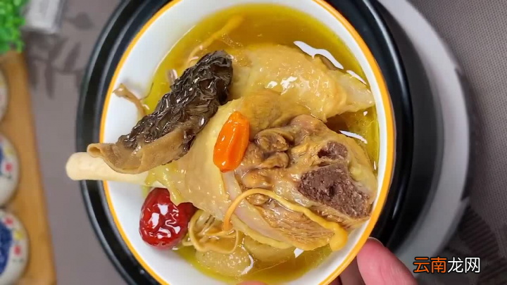 鸡汤怎么炖才好喝 母鸡汤怎么炖最有营养