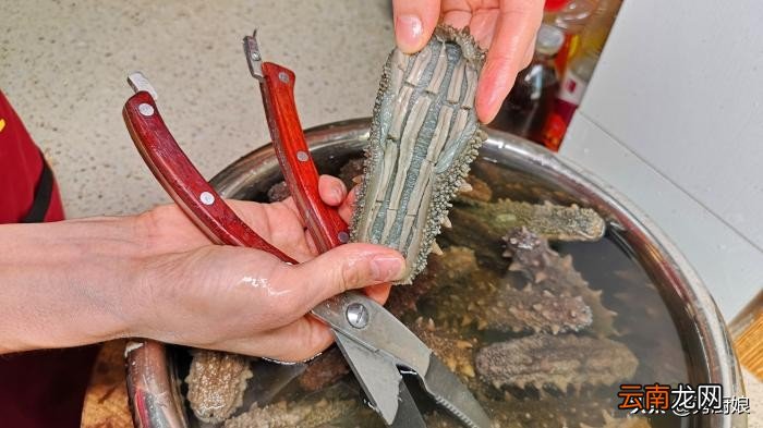 这才是海参泡发的正确做法 干海参泡发的正确方法