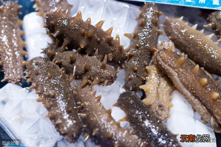 这才是海参泡发的正确做法 干海参泡发的正确方法