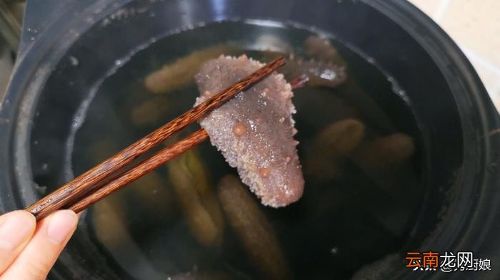 这才是海参泡发的正确做法 干海参泡发的正确方法