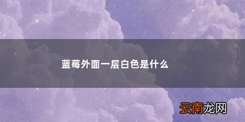 蓝莓外面一层白色是什么