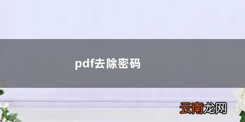 pdf去除密码保护api pdf去除密码