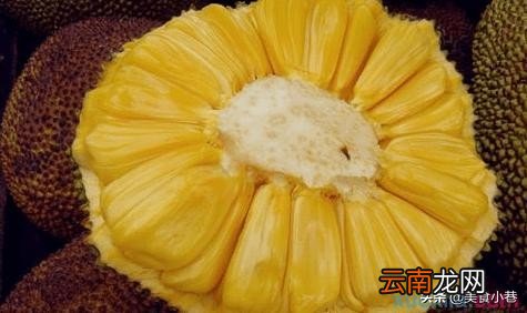 菠萝蜜买回来后没熟怎么办 菠萝蜜最快的催熟办法一晚上