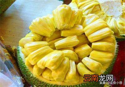 菠萝蜜买回来后没熟怎么办 菠萝蜜最快的催熟办法一晚上