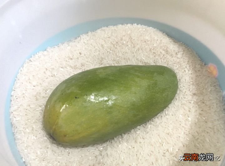 教你2个快速催熟青芒小妙招 青芒果怎么算熟