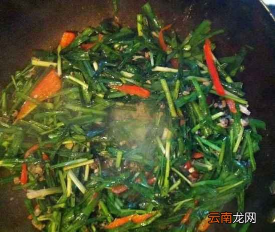 韭菜炒螺肉怎么做好吃 下酒又下饭