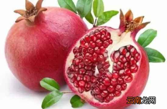 吃什么水果对身体好 六种最美容养颜的水果