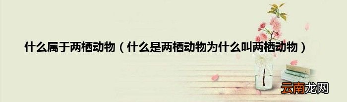 什么是两栖动物为什么叫两栖动物 什么属于两栖动物