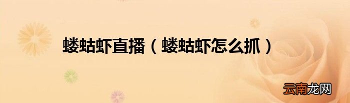 蝼蛄虾怎么抓 蝼蛄虾直播
