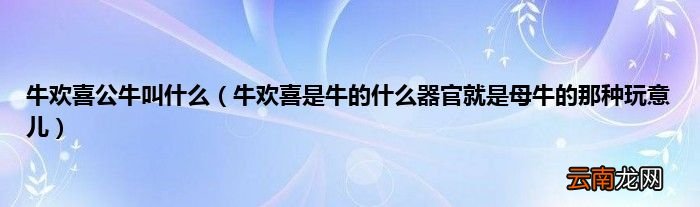 牛欢喜是牛的什么器官就是母牛的那种玩意儿 牛欢喜公牛叫什么