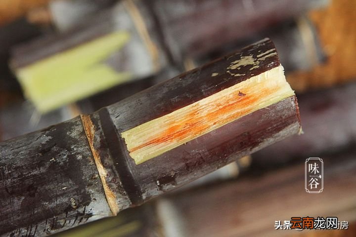 甘蔗“紫皮”和“青皮”有什么区别 什么甘蔗最好吃