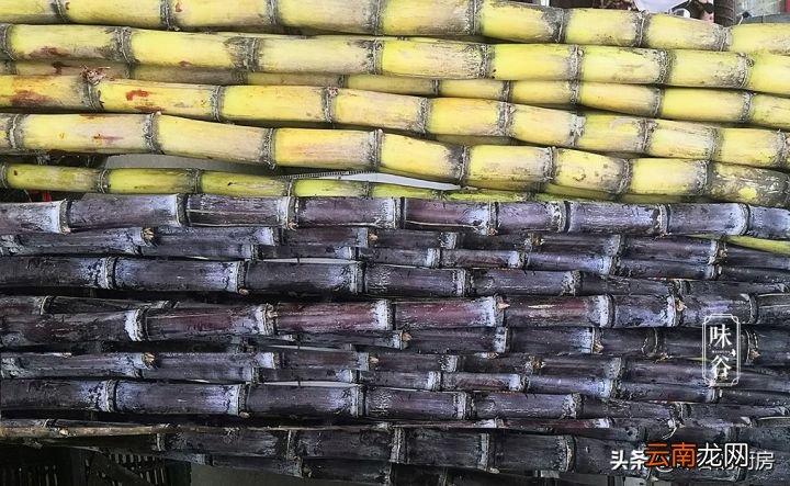 甘蔗“紫皮”和“青皮”有什么区别 什么甘蔗最好吃