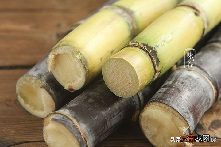 甘蔗“紫皮”和“青皮”有什么区别 什么甘蔗最好吃