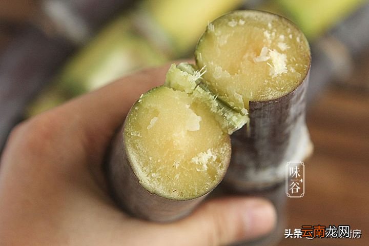 甘蔗“紫皮”和“青皮”有什么区别 什么甘蔗最好吃
