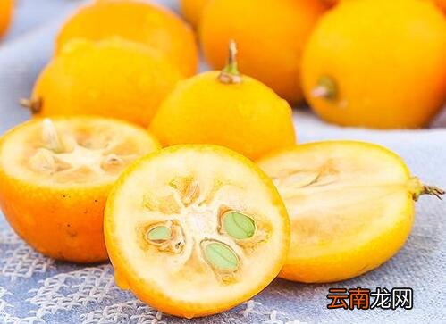 金桔一天最多吃几个 金桔一天吃几个最佳